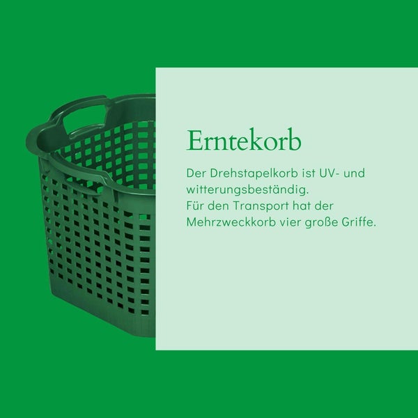 Erntekorb aus Kunststoff, stapelbar, ultraviolett- und witterungsbeständig, mit vier großen Tragegriffen.