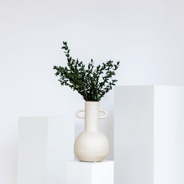 Eukalyptus Pavi | Bund