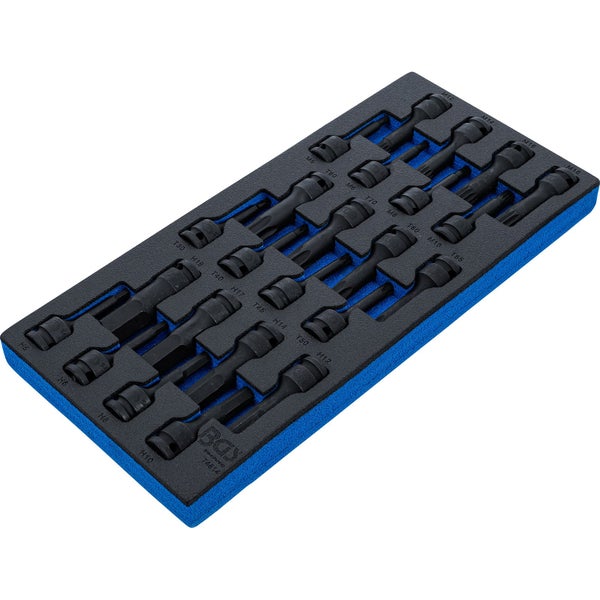 Werkzeugeinlage mit Bitsatz für Innensechskant, Torx und Vielzahn in Schaumstoffmodul mit BGS Technic Logo.