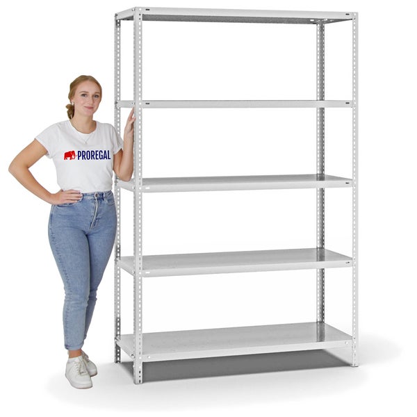 PROREGAL Fachbodenregal Schraubsystem Light-Duty Grundregal HxBxT 200 x 130 x 50 cm 5 Ebenen Fachlast 125 kg Beidseitig Nutzbar Lichtgrau