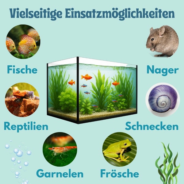 Vielseitige Einsatzmöglichkeiten für Aquarienbewohner wie Fische, Nager, Reptilien, Schnecken, Garnelen und Frösche.