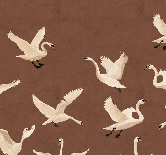 Illustration von fliegenden Schwänen auf braunem Hintergrund