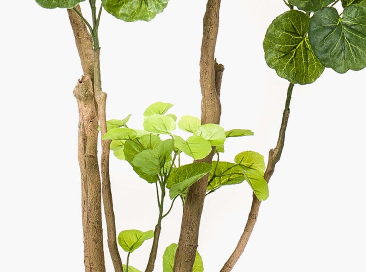 Künstliche Pflanze mit geflochtenem Stamm im schwarzen Kunststofftopf mit Moosoberfläche.