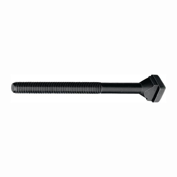 AMF T-Nutenschraube DIN 787 T-Nut 20 mm M20 Länge 125 mm - 84111