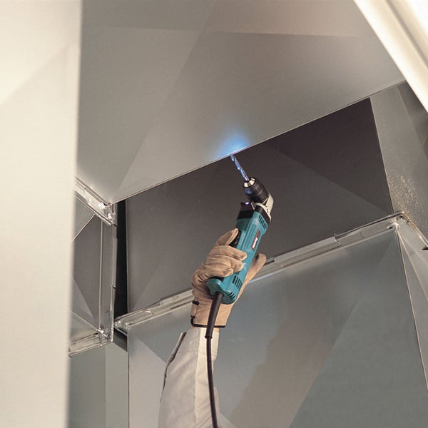 Schöllkraut mit gelben Blüten