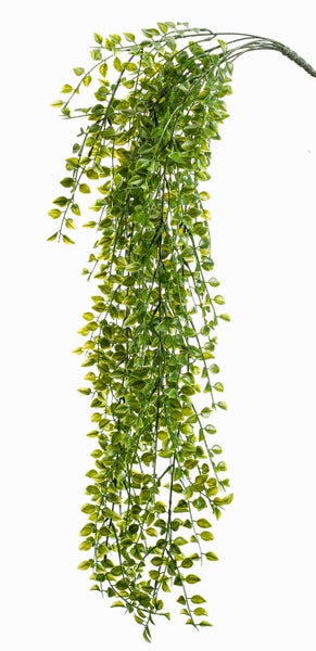 Künstliche Pflanze Anthurium mit herzförmigen Blättern und weißen Blattadern im schwarzen Topf.