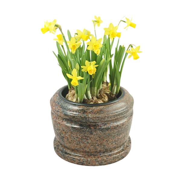 Narzissen in einem runden Pflanztopf aus Naturstein als Grabschmuck