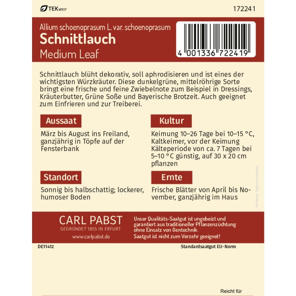 Schnittlauch mehrjährig & mittelröhrig Medium Leaf Samen von Pabst Keimkraft