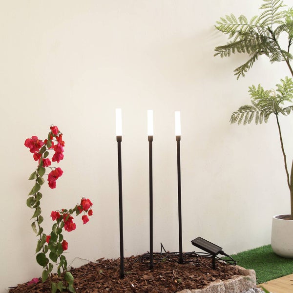 Drei schwarze LED-Solar-Gartenleuchten in Stabform, platziert in einem Beet mit Rindenmulch neben einer rosa blühenden Pflanze.
