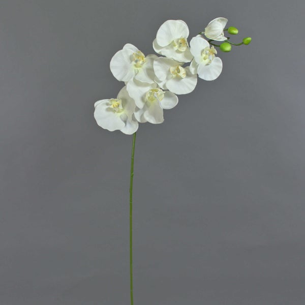 Künstliche Orchidee Rispe mit weißen Blüten und grünen Knospen.