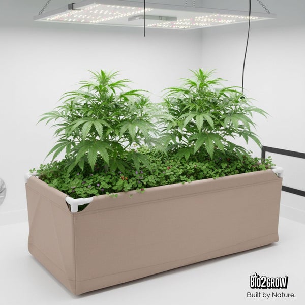 Pflanzkasten mit Pflanzen und LED-Wachstumslampe