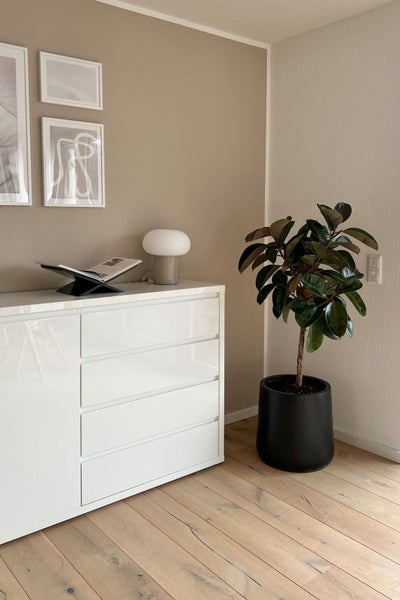 Modernes Wohnzimmer mit Gummibaum in schwarzem Pflanzkübel, hellem Sofa und Holzfußboden unter einer Dachschräge.