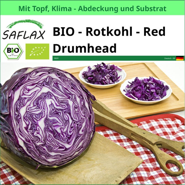 Bio Rotkohl Red Drumhead von Saflax mit EU Bio Siegel