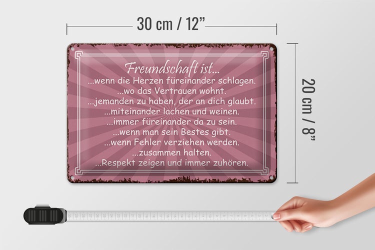 Blechschild Spruch 30x20cm Freundschaft ist wenn Herze