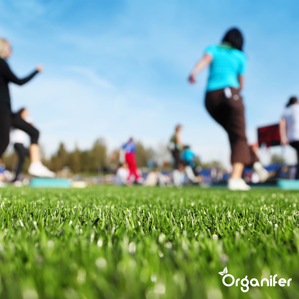 Herbstdünger All-In-One (5 kg für 100 m2) - Organifer