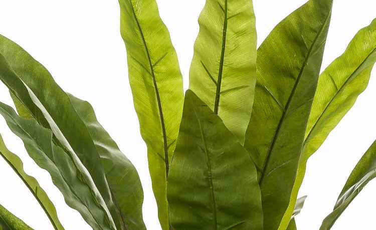 Künstliche Strelitzia mit grünen Blättern in schwarzem Topf, realistische Kunstpflanze für die Innendekoration.