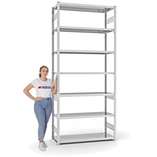 PROREGAL Fachbodenregal Stecksystem T-Profil Medium-Duty Grundregal HxBxT 300 x 130 x 50 cm 7 Ebenen Fachlast 230 kg Beidseitig Nutzbar Lichtgrau