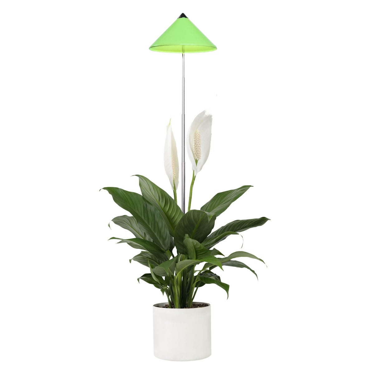 Parus by Venso SUNLiTE 7W LED Vollspektrum Pflanzenlampe Grün, Indoor Plants Pflanzen Beleuchtung, mit ausziehbarem Teleskopstab, Parus Pflanzenlampe für kleine und mittelgroße Zimmerpflanzen