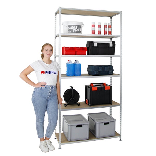 PROREGAL Schwerlastregal Giant Muli HxBxT 250 x 100 x 50 cm 6 Fachböden Fachlast 150 kg Verzinkt