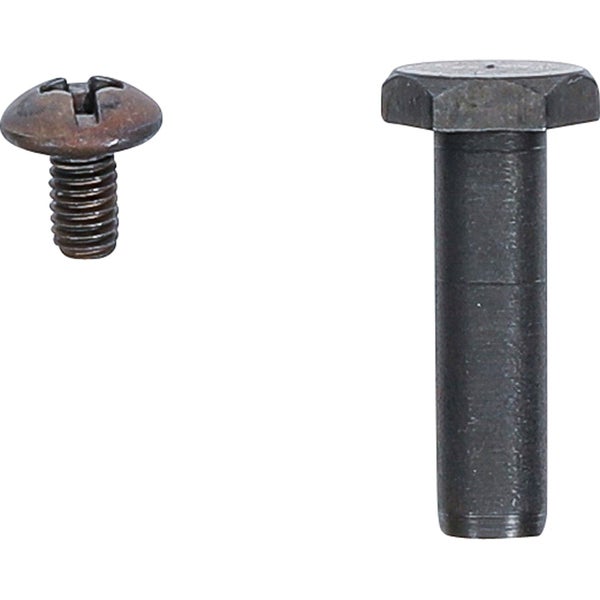 Eine Schlitzschraube und eine Sechskantschraube im Detail.