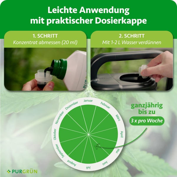 Purgrün Logo. Anleitung: 20 Milliliter Konzentrat abmessen, mit 1 bis 2 Liter Wasser verdünnen. Ganzjährig bis zu 3 Mal pro Woche.