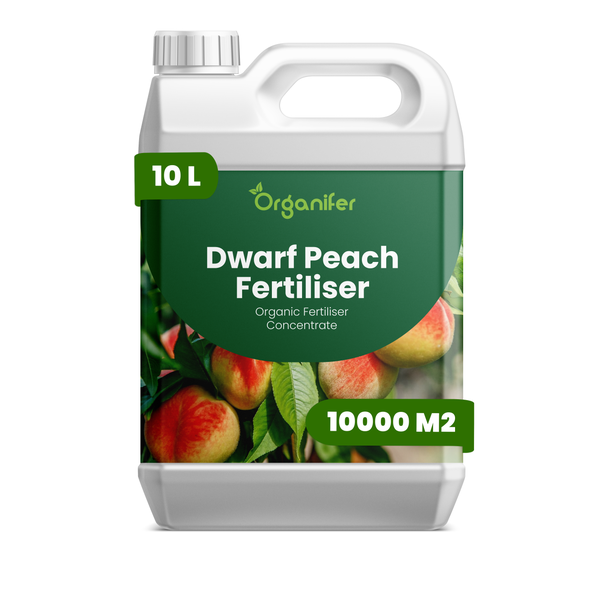 Organifer Bio-Zwergpfirsich-Dünger Konzentrat, 10 Liter Kanister für bis zu 10000 Quadratmeter.