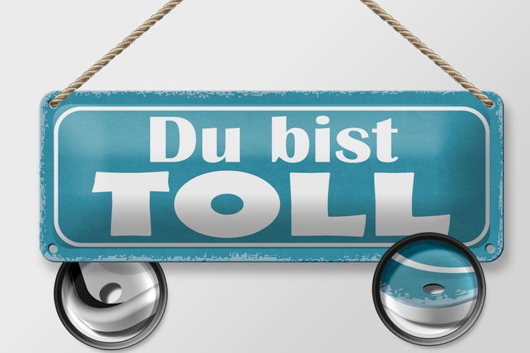 Blechschild Spruch 27x10cm Du bist toll Dekoration