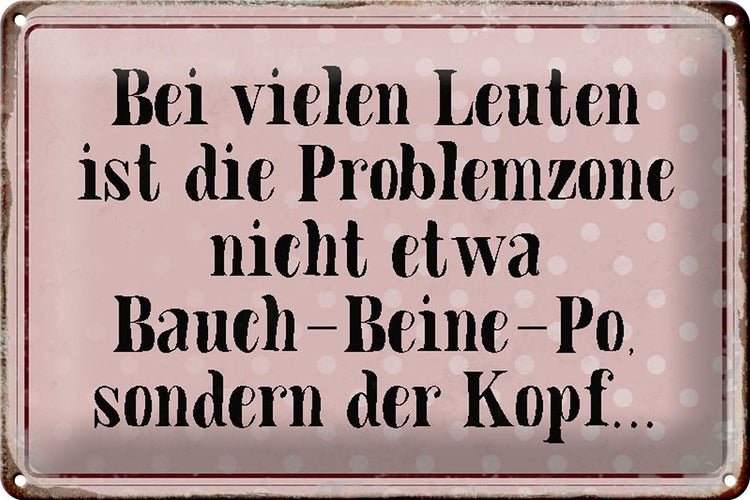 Blechschild Spruch 30x20cm Problemzone ist der Kopf Retro