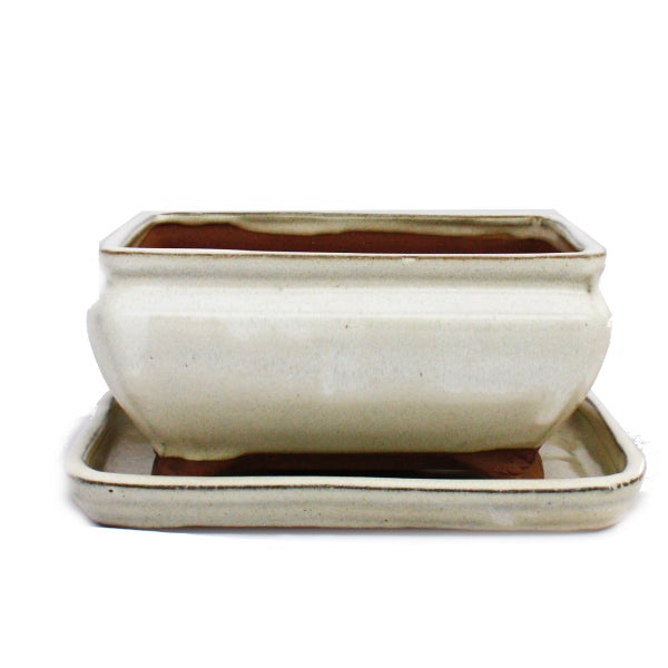 Rechteckige Bonsaischale aus glasierten Keramik mit passendem Untersetzer, cremefarben.