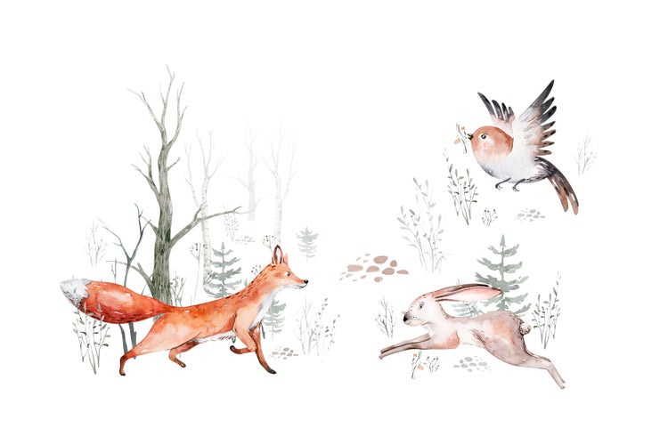 Wandtattoo mit Aquarell Illustration von Waldtieren wie Fuchs, Hase und Vogel zwischen Bäumen für die Kinderzimmerdekoration.