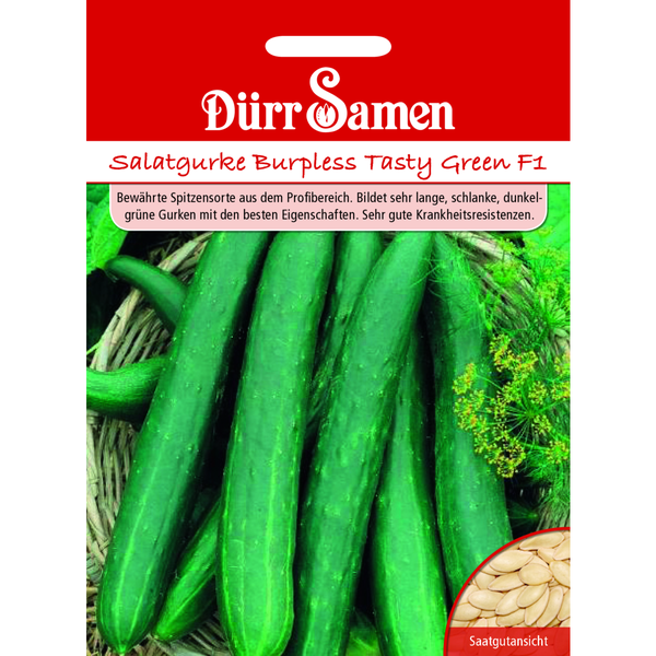 Salatgurken Burpless Tasty Green F1 Saatgut von Dürr Samen