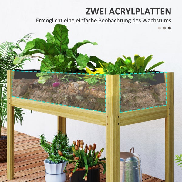 Hochbeet aus Holz mit zwei Acrylglasscheiben für einfache Wachstumsbeobachtung