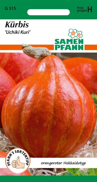 Samen Pfann Kürbis Uchiki Kuri, orangefarbener Hokkaidotyp
