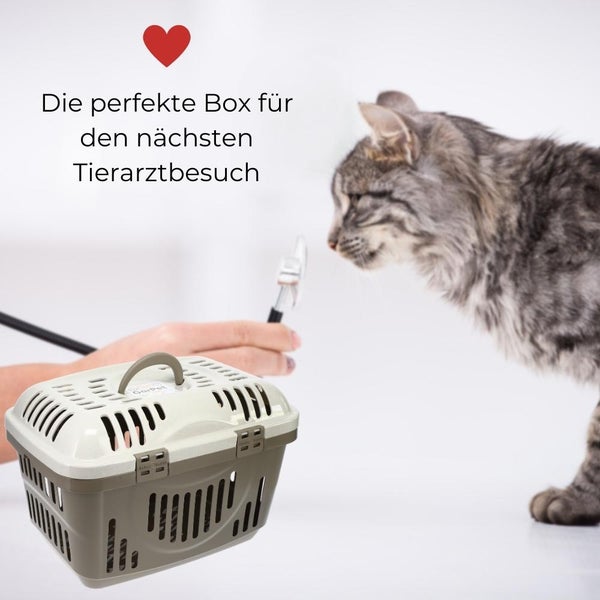 Transportbox Oben Öffnen Hunde Katzen Kleintier Transport Box Katzenbox Hundebox Open Top Stressfrei Dachöffnung