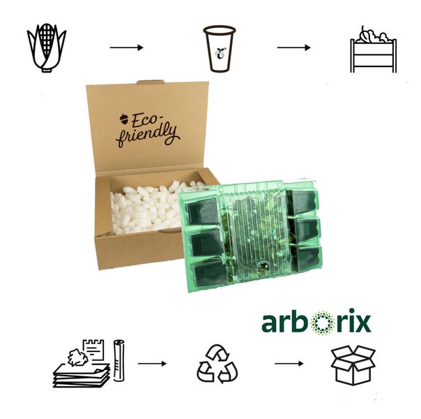 Abbildung eines umweltfreundlichen Verpackungsprozesses mit Mais, Becher, Holzkiste, Papier, Recycling Symbol, Karton und Arborix Logo