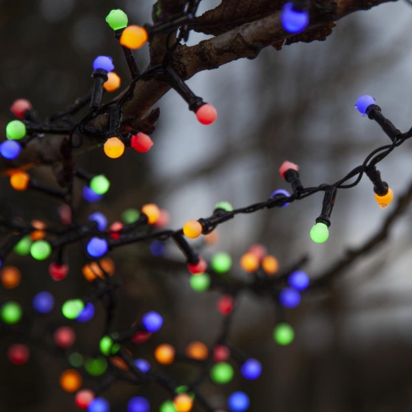Lichterkette mit mehrfarbigen Lampen auf einem Ast