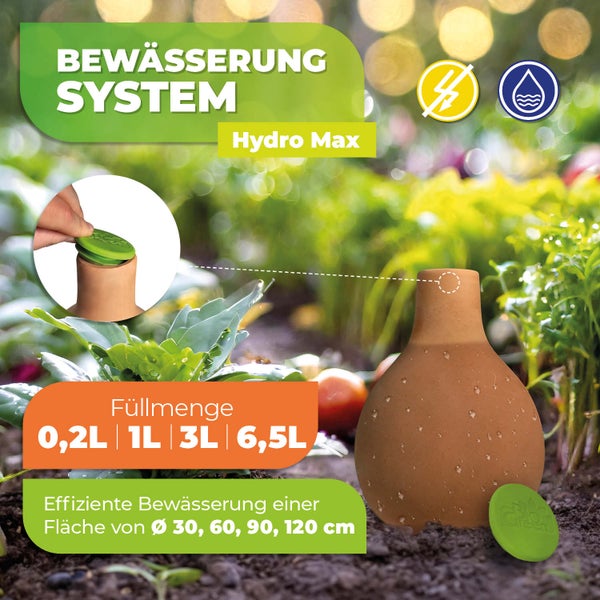 Olla Pflanzenbewässerung Hydro Max in den Größen 4 x 1 L