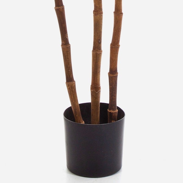 Drei braune Bambusstangen in einem kleinen schwarzen Topf.