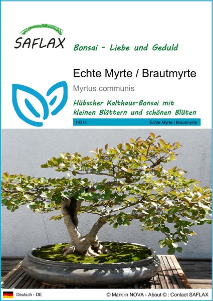 SAFLAX  - Echte Myrte / Brautmyrte - Myrtus communis - 30 Samen