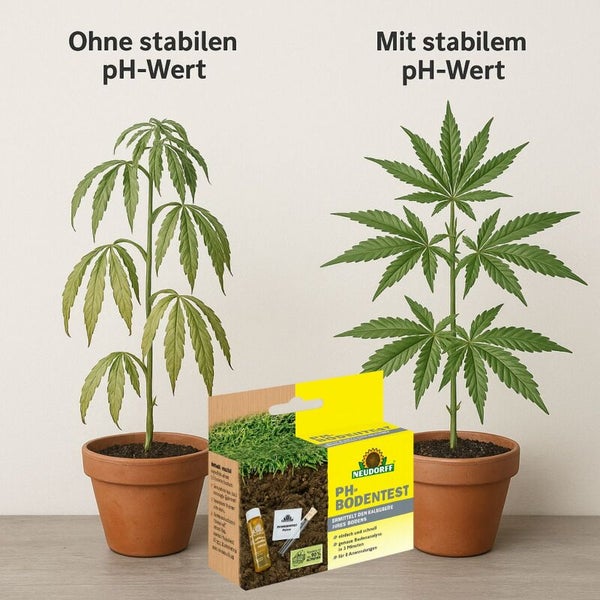 Darstellung von Pflanzen mit und ohne stabilem pH-Wert neben einer Neudorff pH-Bodentest Packung