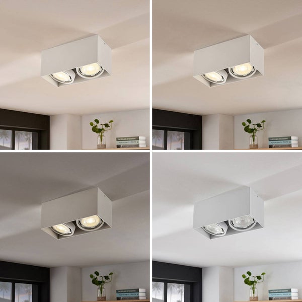 Deckenleuchte mit zwei Leuchtmitteln