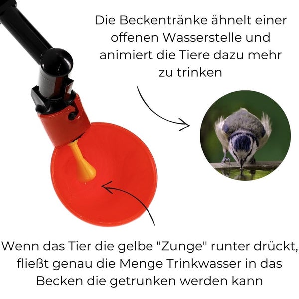 Beckentränke Küken Nager Hasen Hühner Geflügel Wasser Becken Tränke Trinkflasche 1000 ml