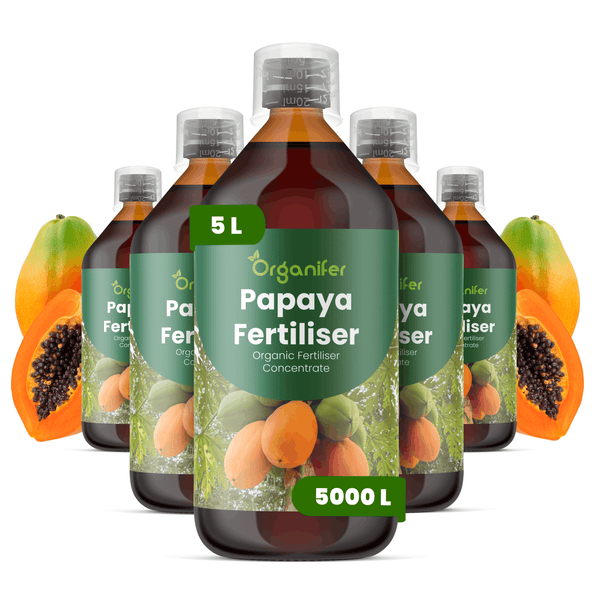 Fünf Flaschen Organifer Papaya Dünger, organisches Flüssigdünger-Konzentrat, 5 Liter für circa 5000 Liter Gießwasser.