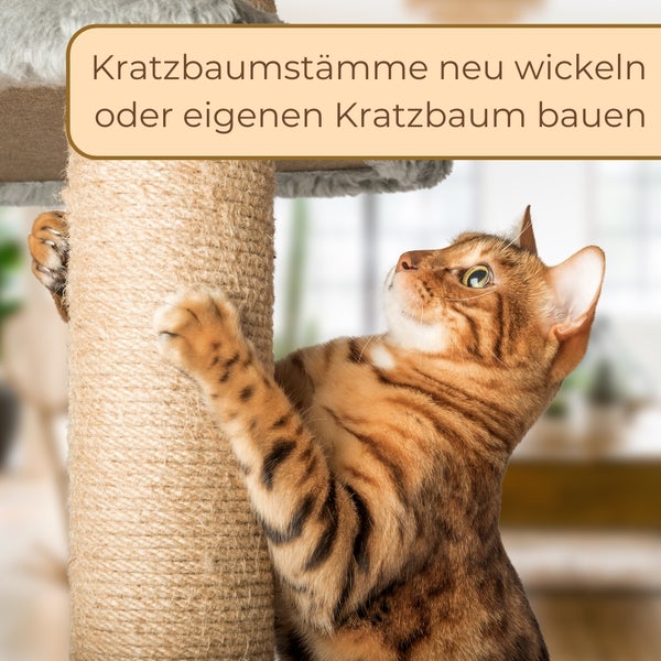 Katze kratzt an einem Kratzbaumstamm mit Sisal-Umwicklung