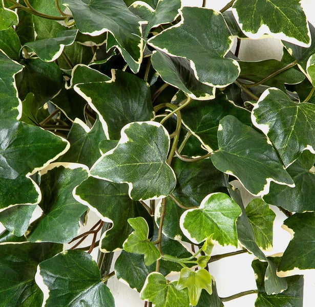 Künstliche Palme im schwarzen Kunststofftopf mit naturgetreuem Stamm und ausladenden grünen Wedeln.