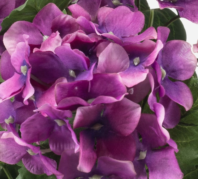 Künstliche Hortensie, Stoffblüte in Violett mit grünen Blättern für die Dekoration.