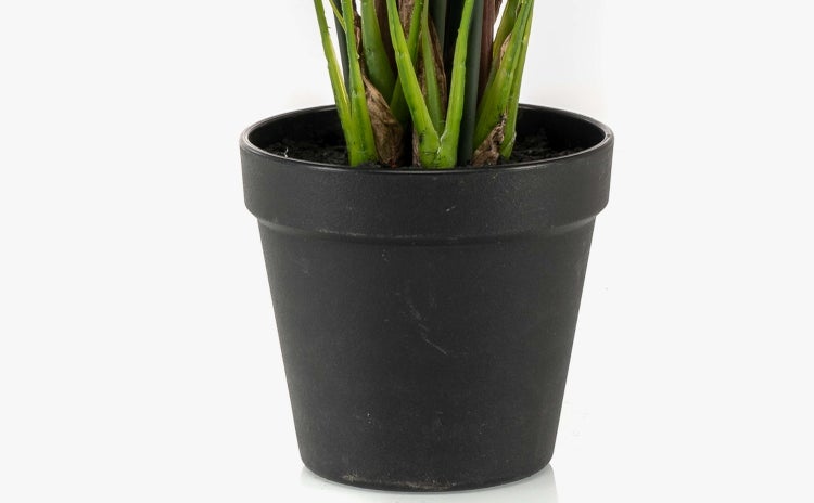 Künstliche Einblatt Pflanze mit weißen Blüten und grünen Blättern in einem schwarzen Topf.