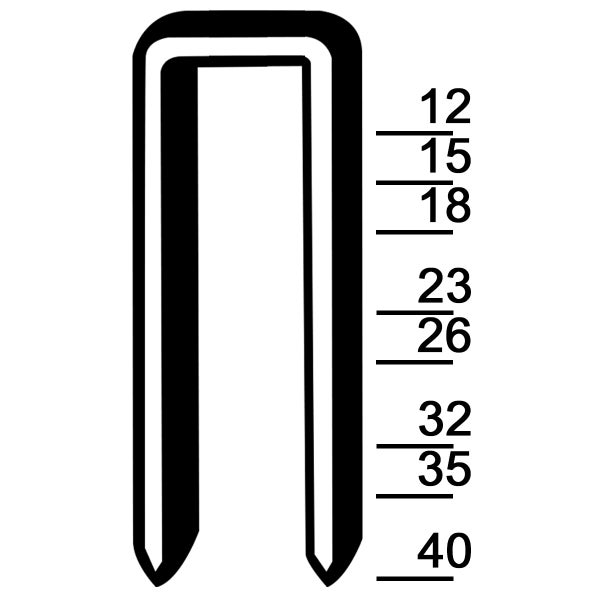 Fledermausblume mit Hochblättern und langen, fadenförmigen Anhängseln