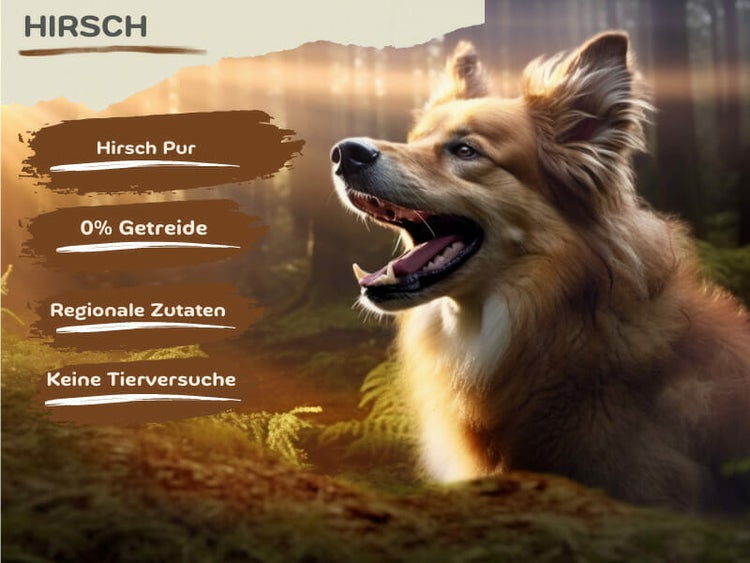 Wild (1x 14,5 kg) getreidefreies Trockenfutter sensitiv Hirsch Pur | hoher Fleischanteil (ca. 80% Hirsch frisch) | Muskelfleisch | Hypoallergenes Hundefutter mit Kartoffel