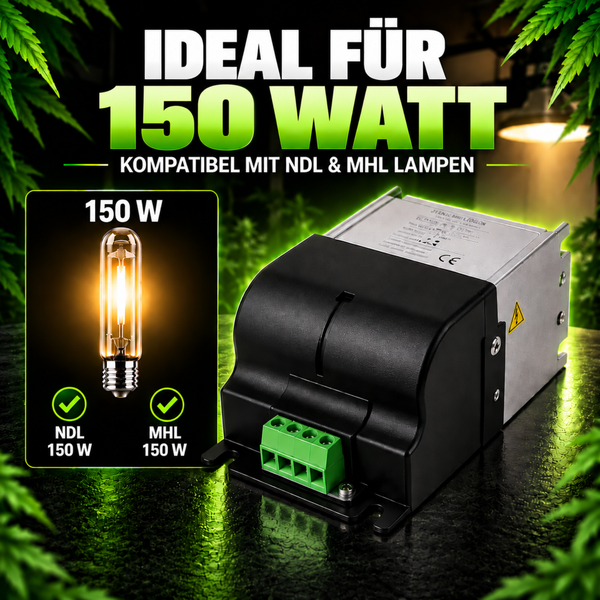 Set aus Vorschaltgerät und XL Reflektor für Pflanzenbeleuchtung im Grow Setup.